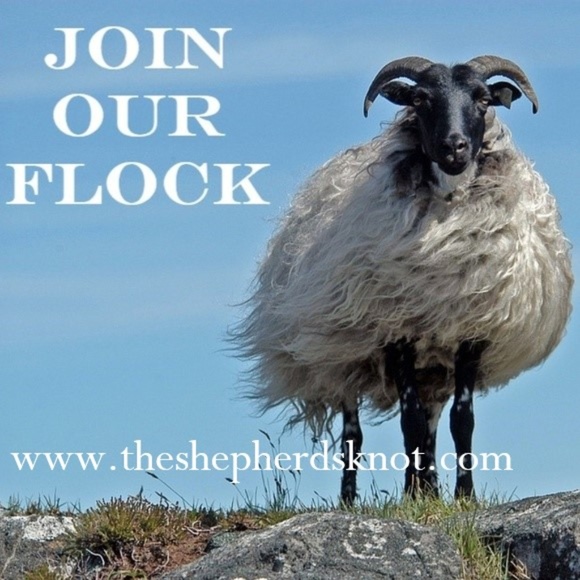 Gothic Renaissance Medieval Raven Bird Necklace - Picture 8 of 8